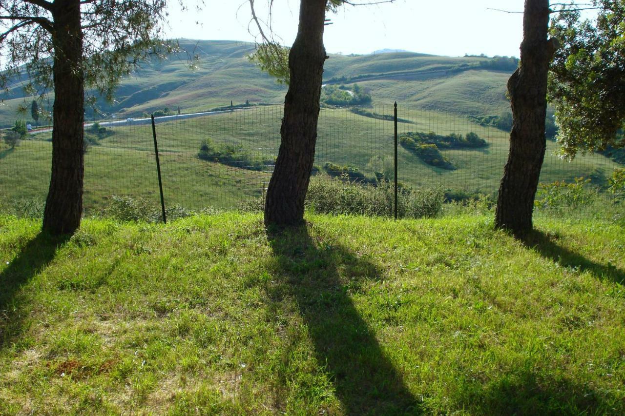Podere San Francesco Bed and Breakfast Volterra Exteriör bild